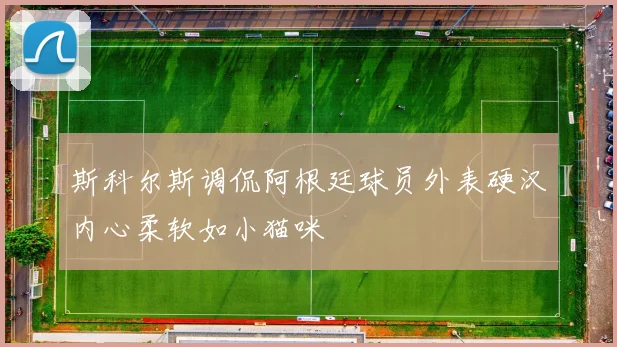 斯科尔斯调侃阿根廷球员外表硬汉内心柔软如小猫咪